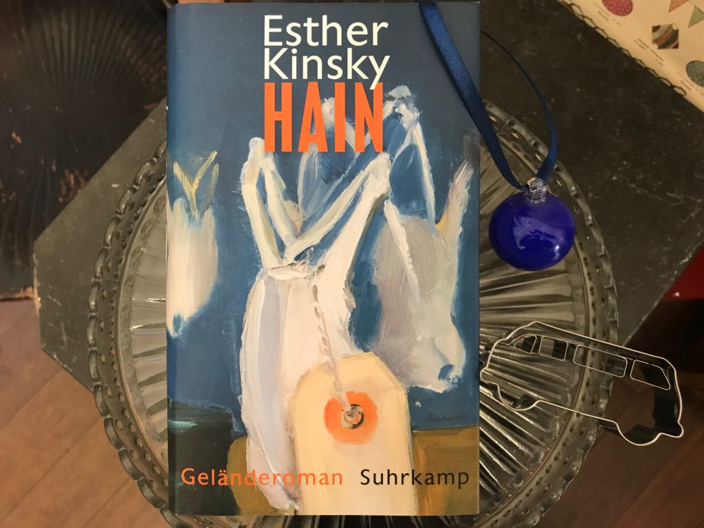 Du betrachtest gerade Hain – Eine sehr persönliche Italienreise von Esther Kinsky