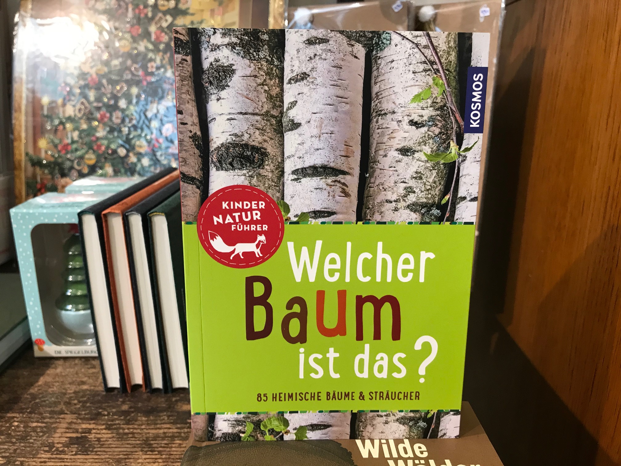 Welcher Baum ist das? Kindernaturführer 1 Welcher Baum ist das? Kindernaturführer