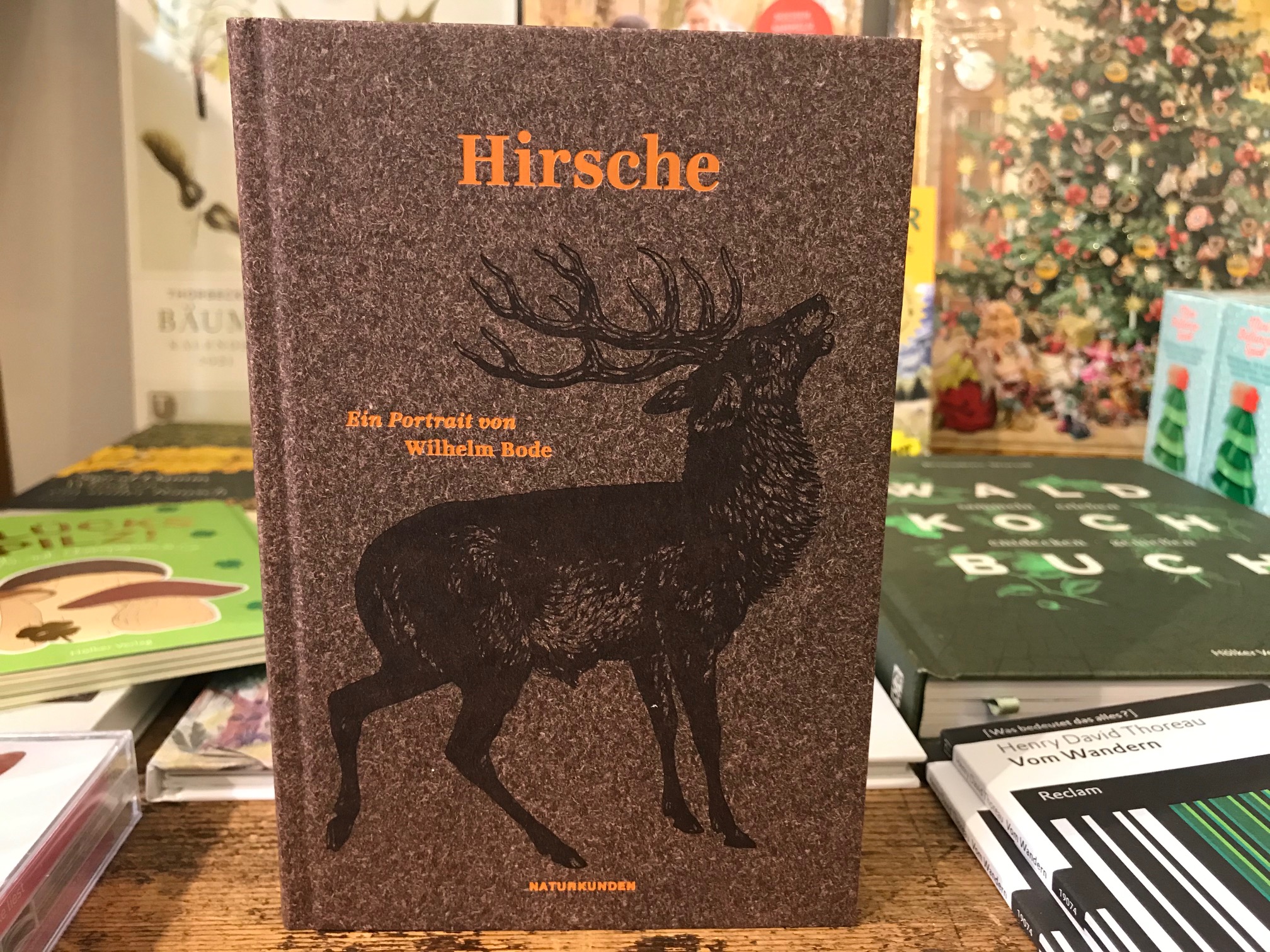 Hirsche - Ein Portrait 1 Hirsche - Ein Portrait