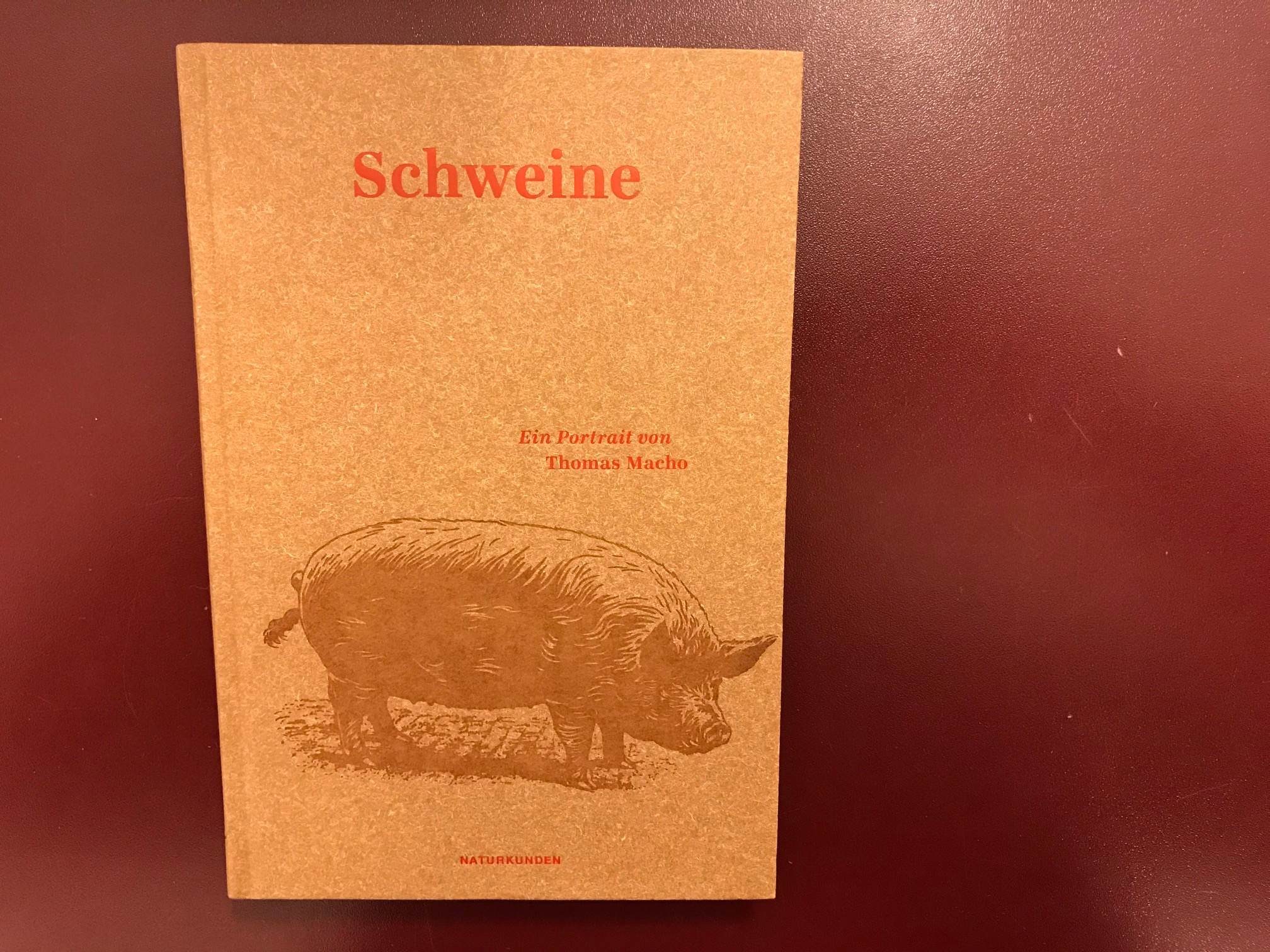 Schweine - Ein Portrait 1 Schweine - Ein Portrait