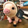 Plüschschwein mit Fliegermütze