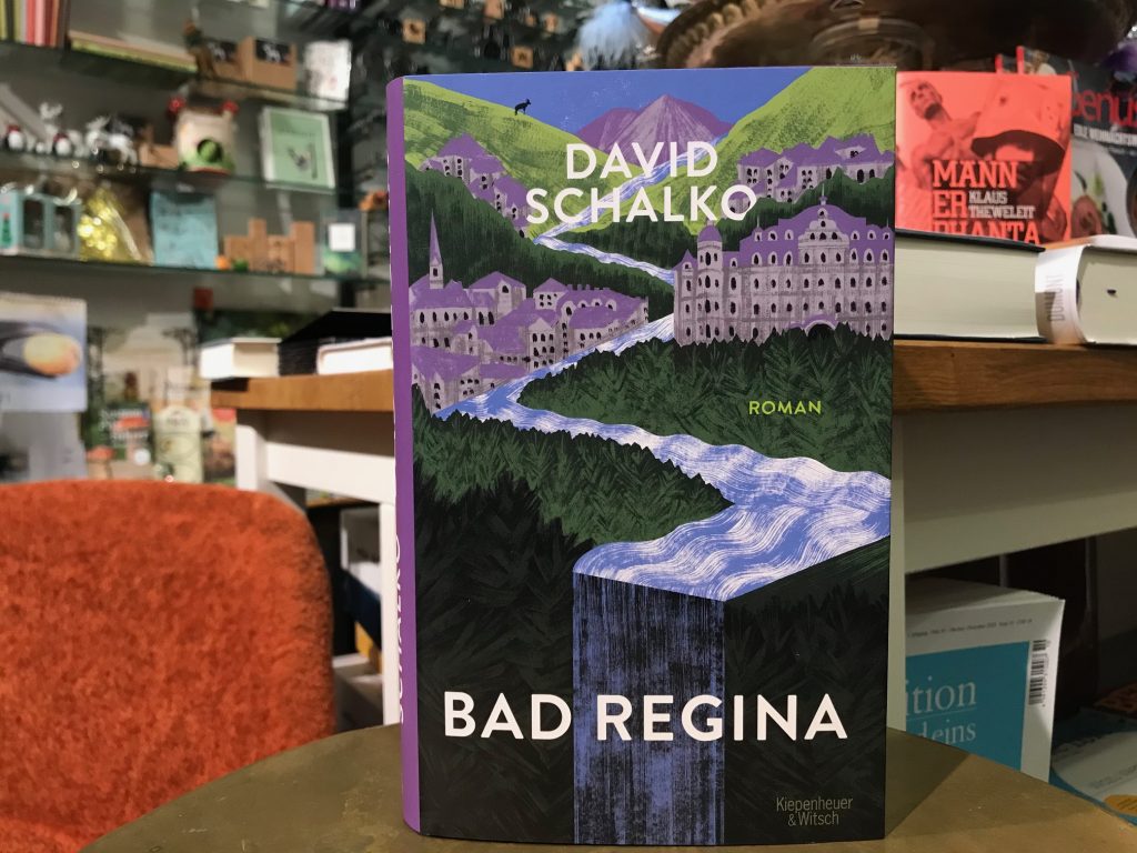 5092-buecher-bad-regina-von-david-schalko