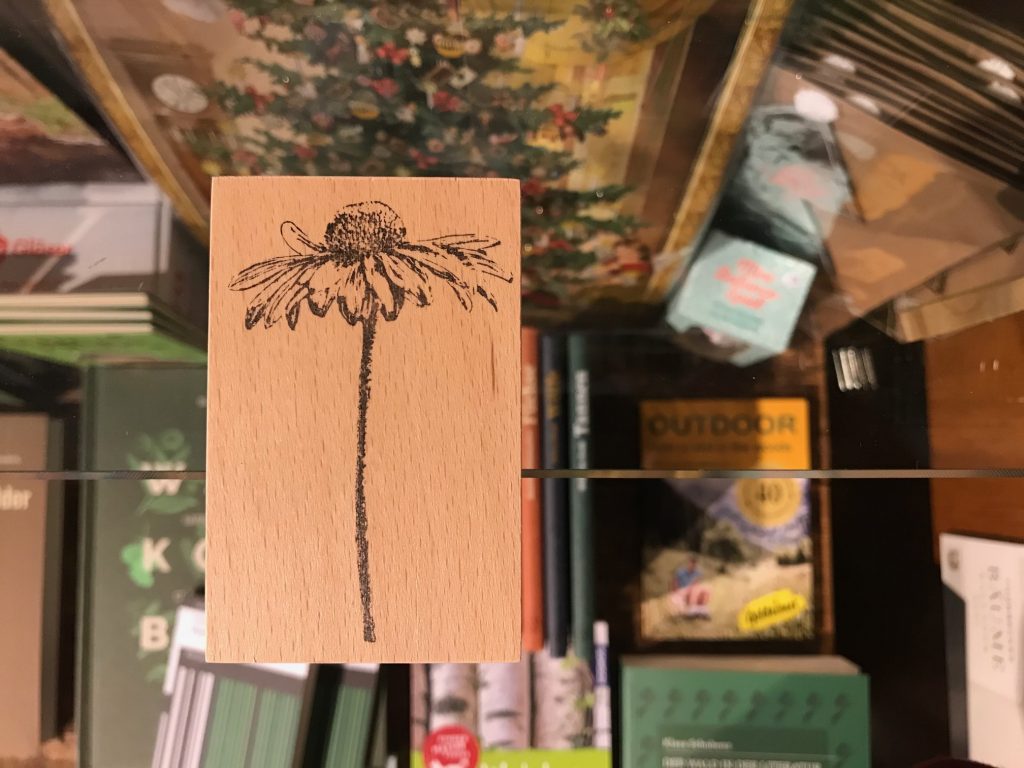 5160-stempel-sonnenhut-oder-echinacea