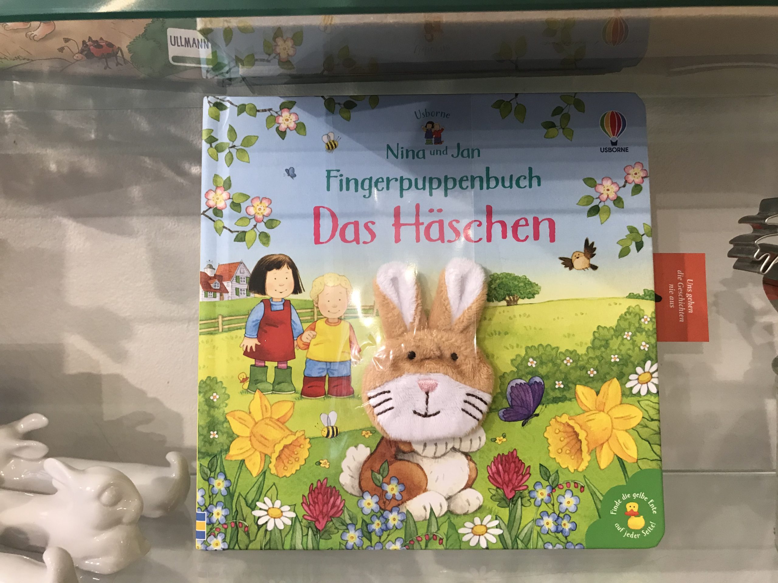 5301-buecher-fingerpuppenbuch-das-haeschen-von-sam-taplin