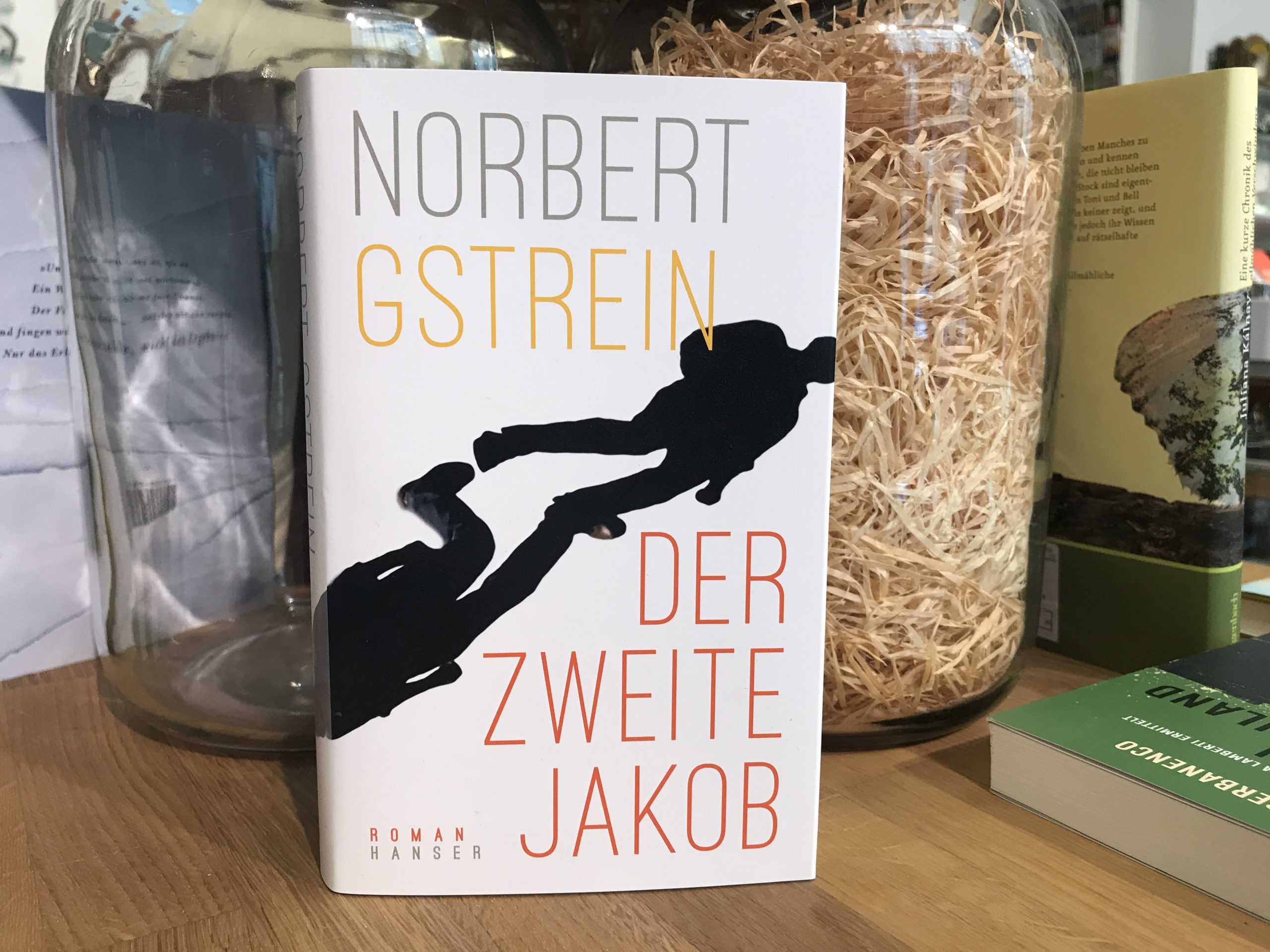 5547-buecher-der-zweite-jakob-von-norbert-gstrein
