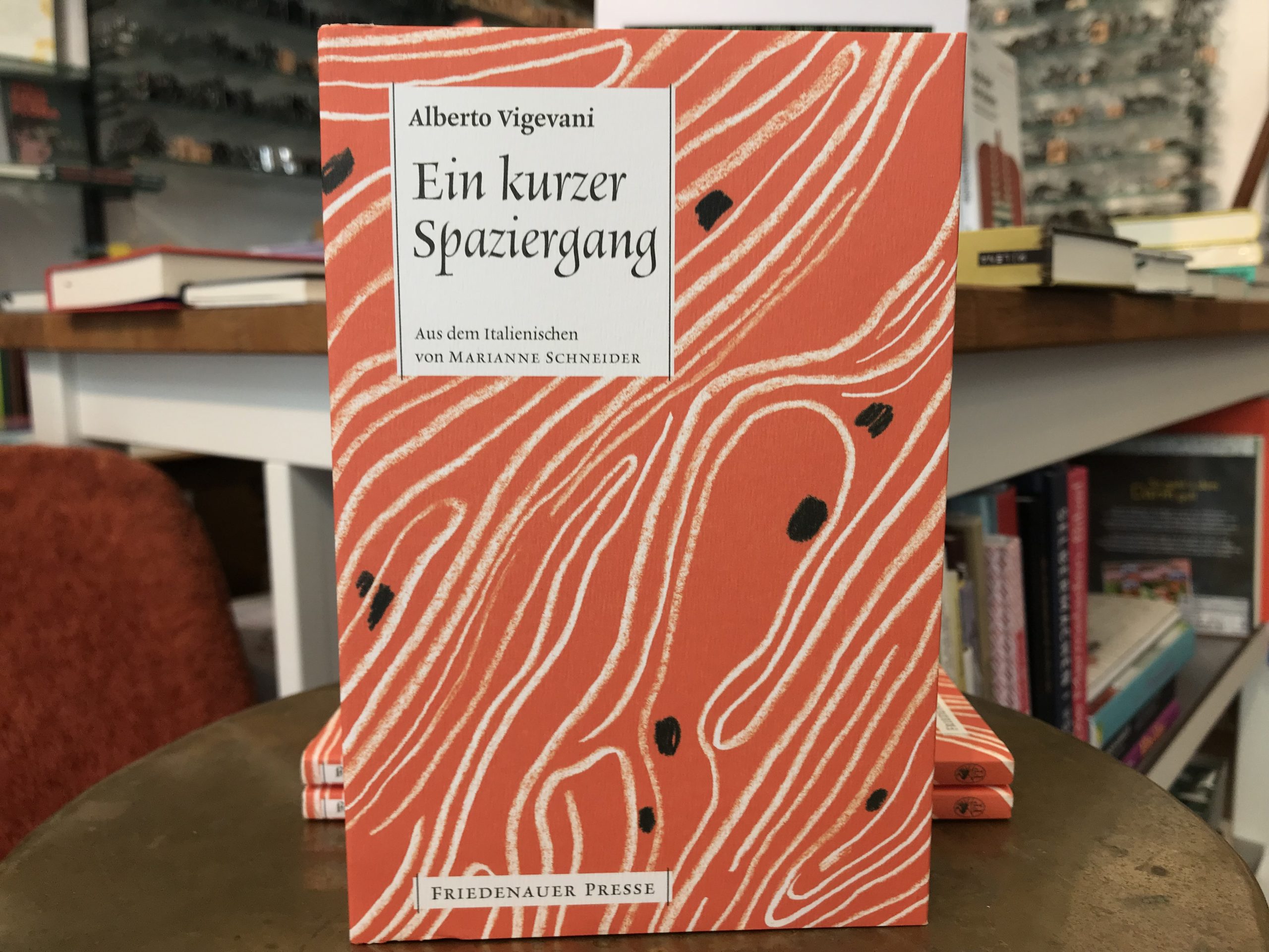 6713-buecher-ein-kurzer-spaziergang-von-alberto-vigevani