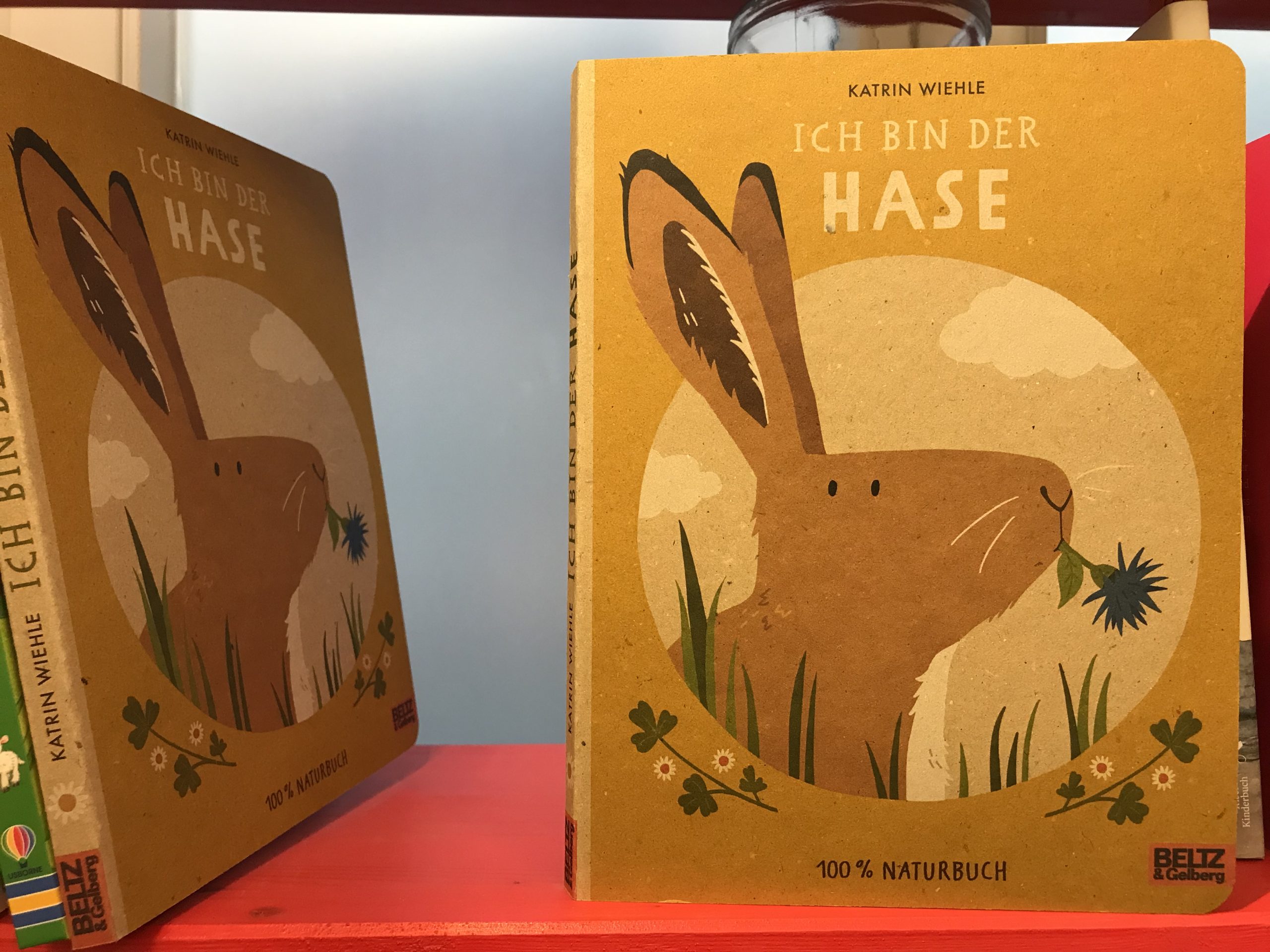 6755-buecher-ich-bin-der-hase-von-katrin-wiehle