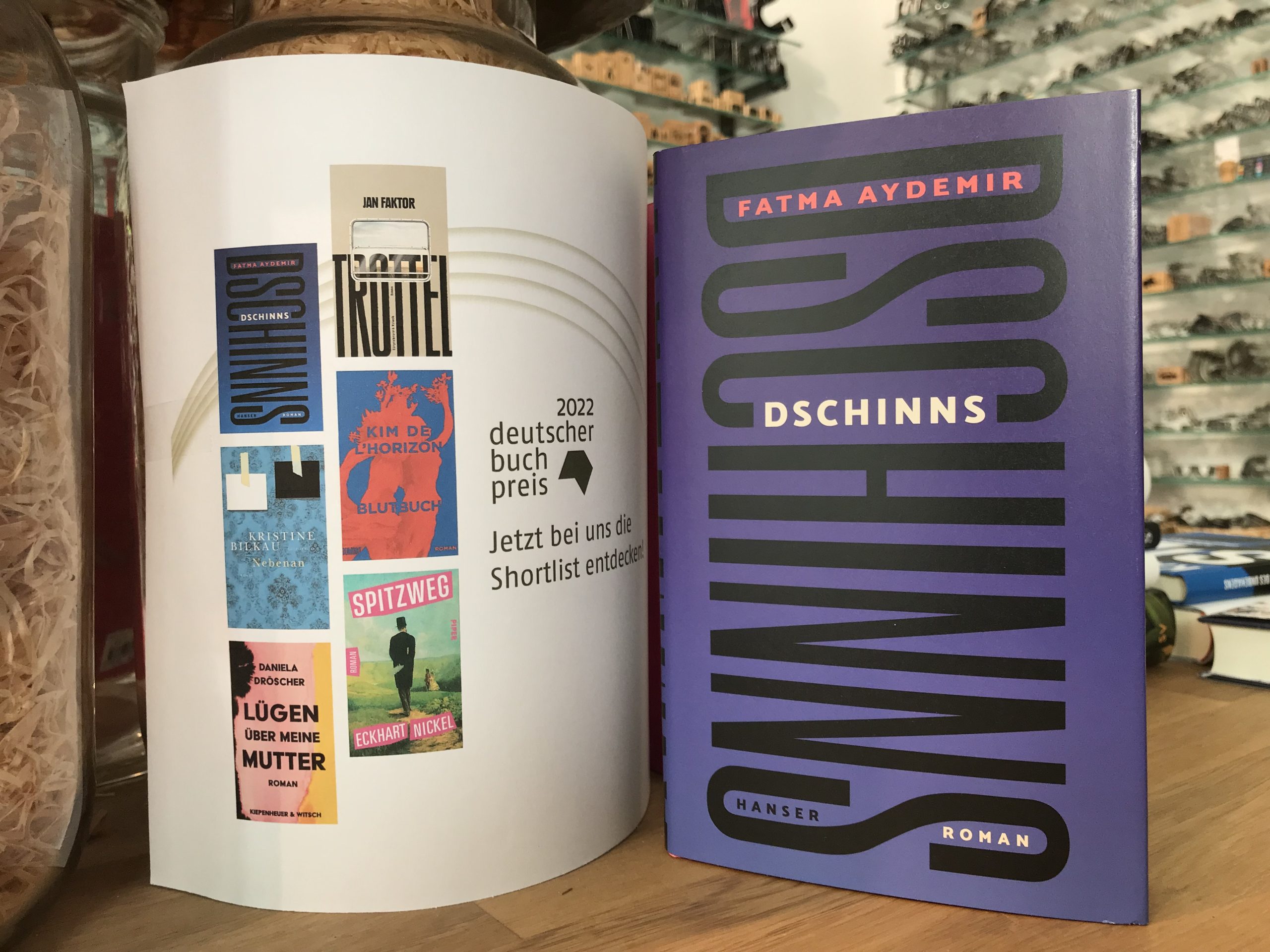 7163-buecher-dschinns-von-fatma-aydemir