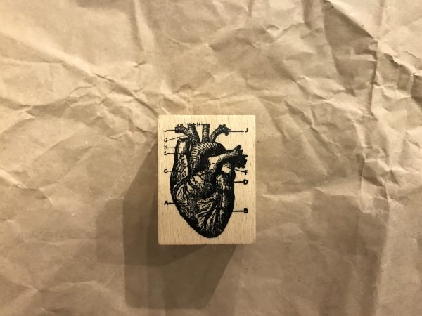 Herz anatomisch – Stempel