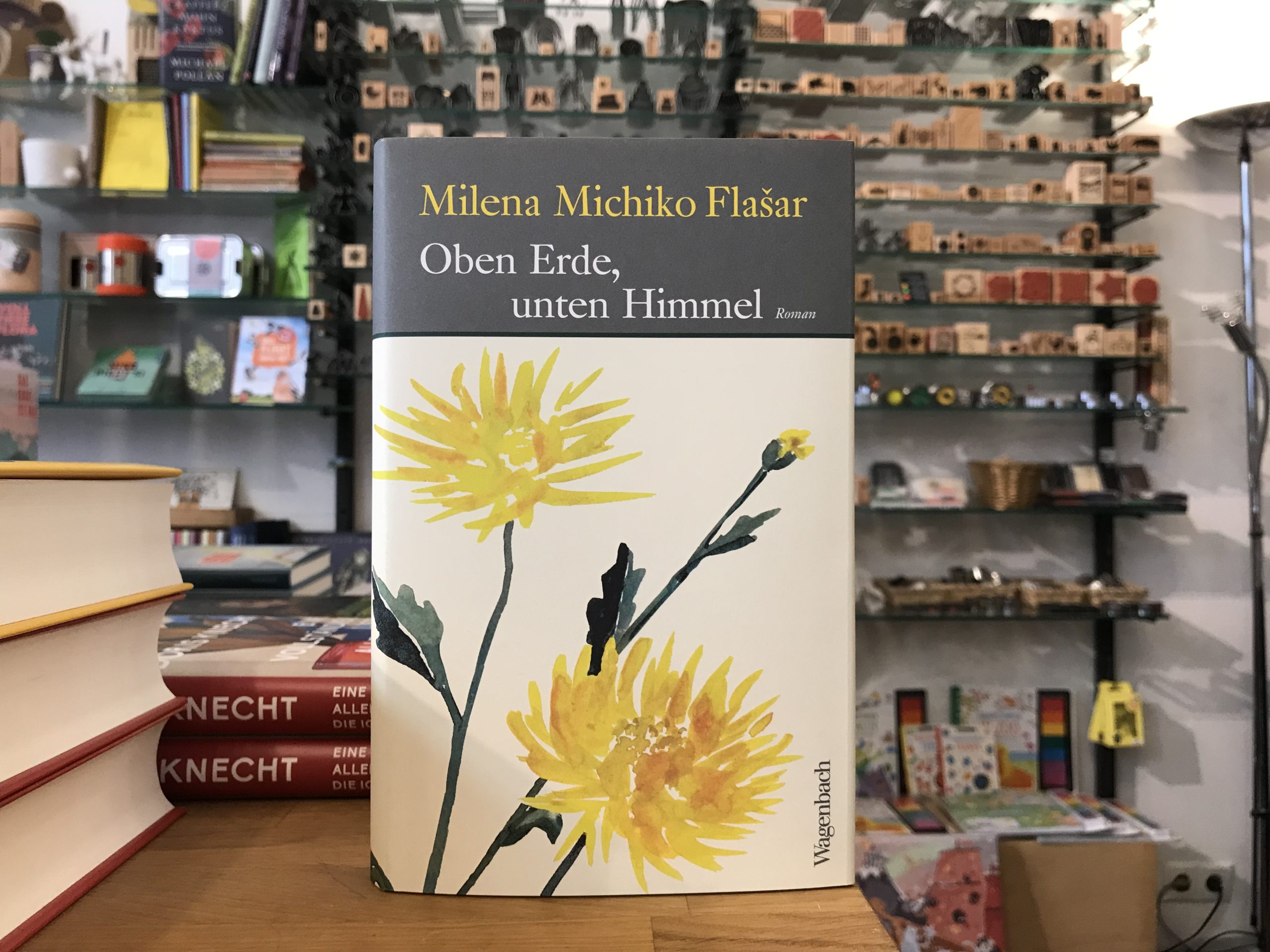 8333-buecher-oben-erde-unten-himmel-von-milena-michiko-flasar