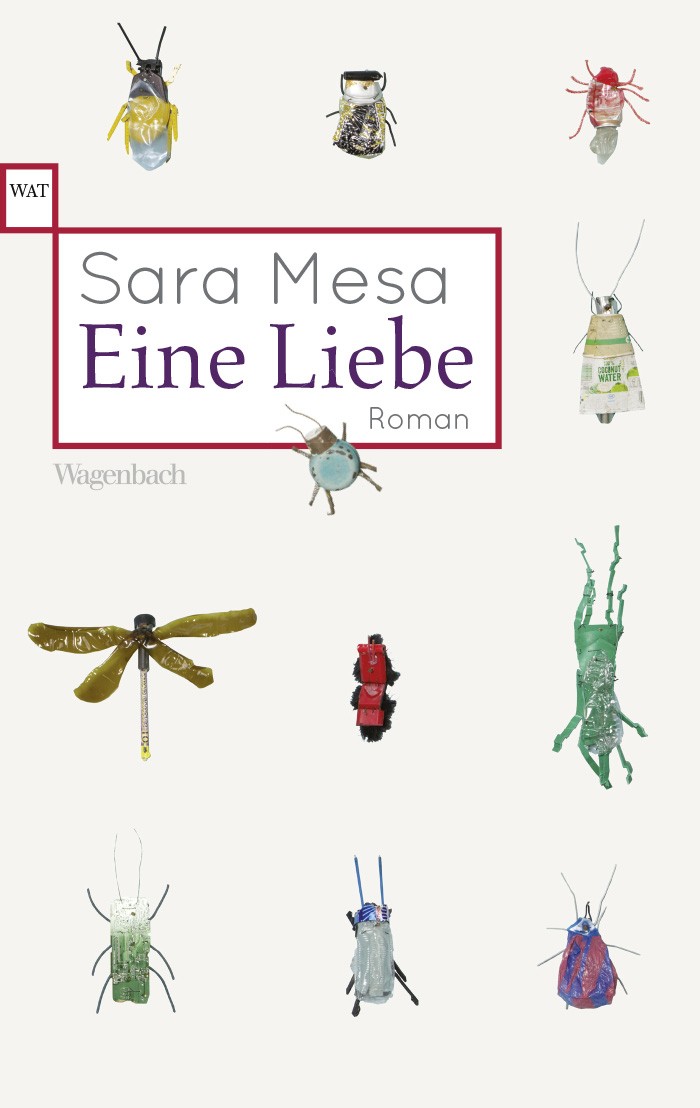 7366-buecher-eine-liebe-von-sara-mesa
