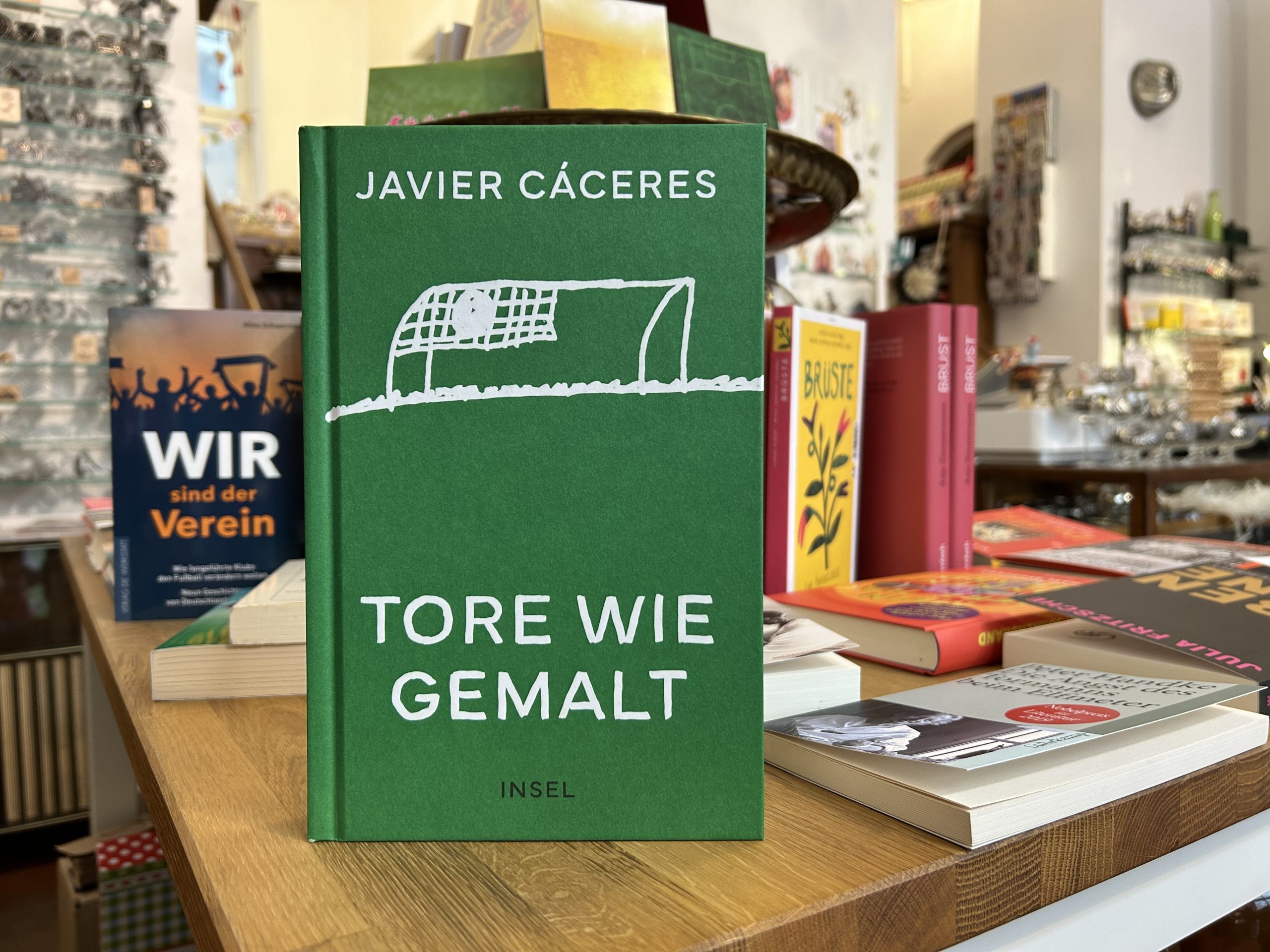 9002-buecher-tore-wie-gemalt-von-javier-caceres