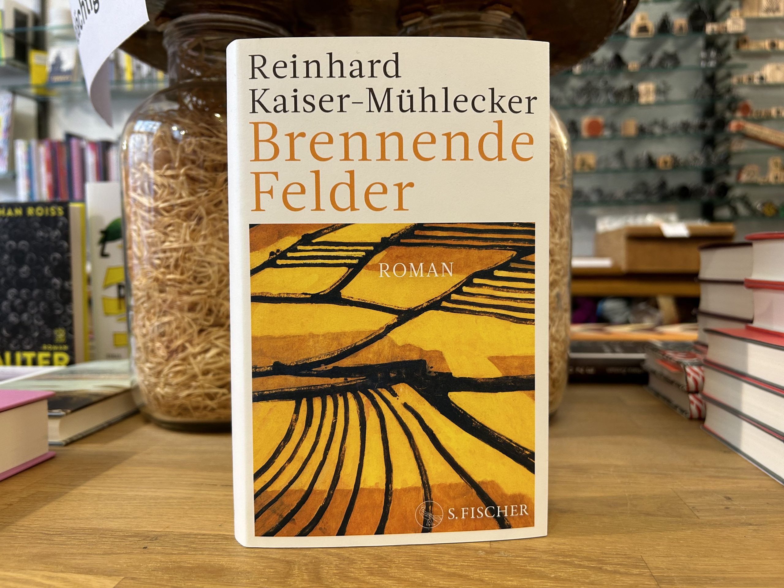 9493-buecher-brennende-felder-von-reinhard-kaiser-muehlecker