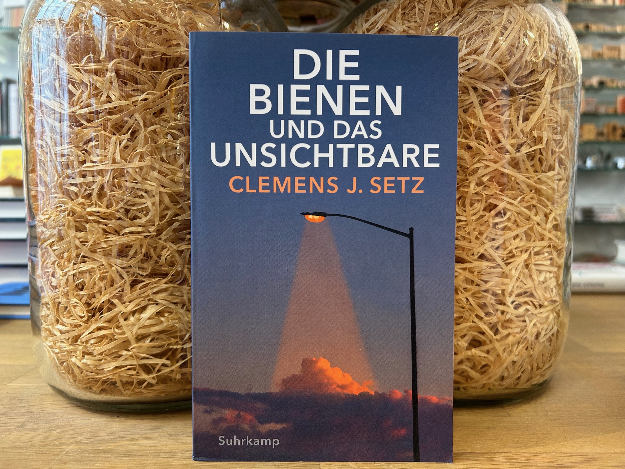 9609-buecher-die-bienen-und-das-unsichtbare-von-clemens-j-setz
