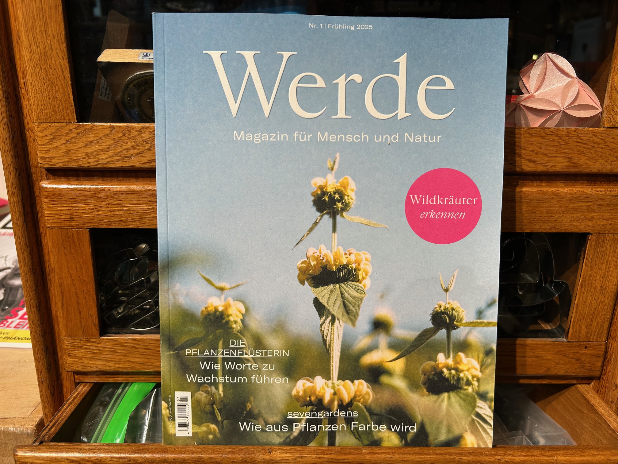 9638-zeitschriften-werde-1-2025-wildkraeuter-erkennen