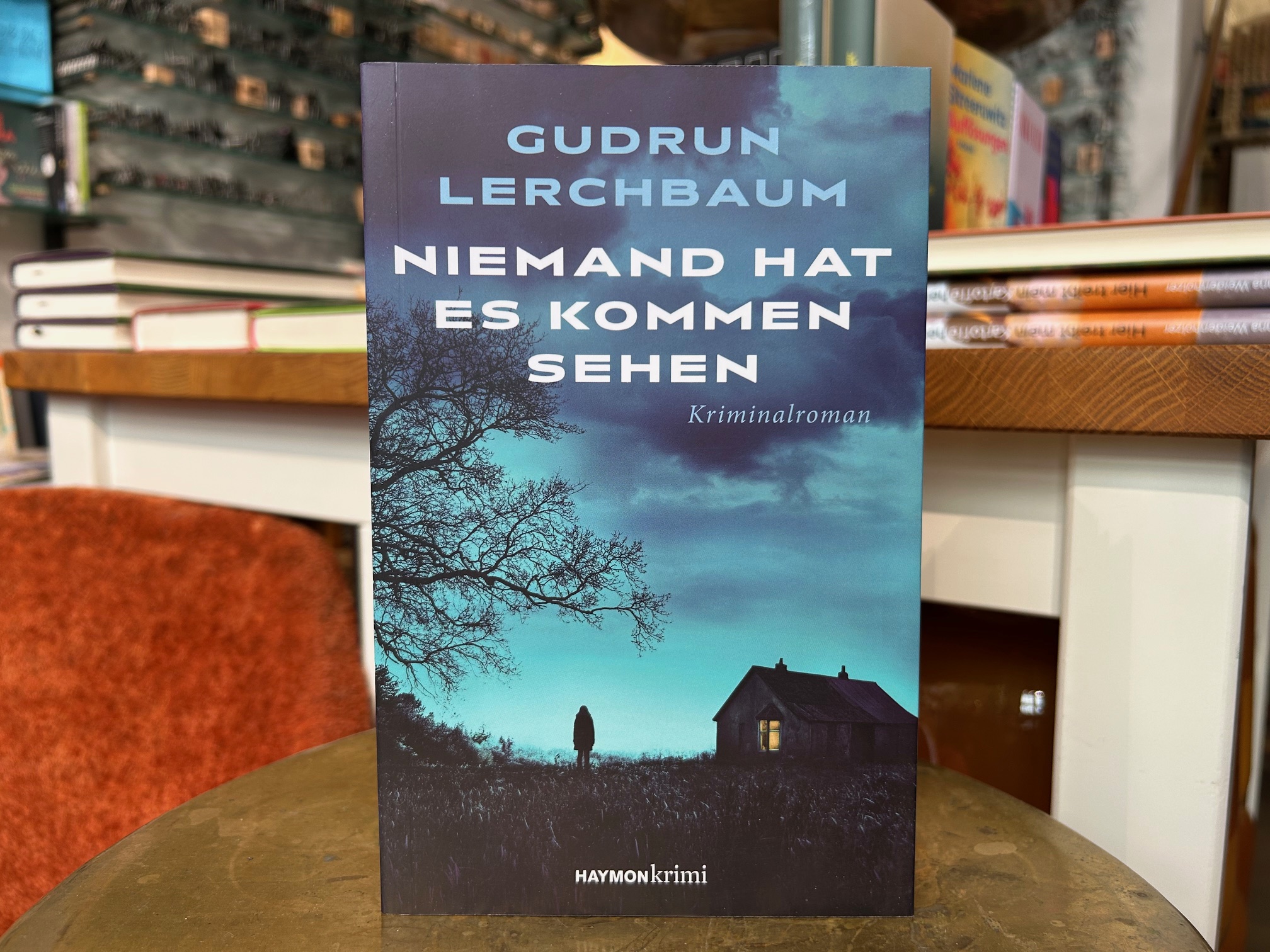 9941-buecher-niemand-hat-es-kommen-sehen-von-gudrun-lerchbaum