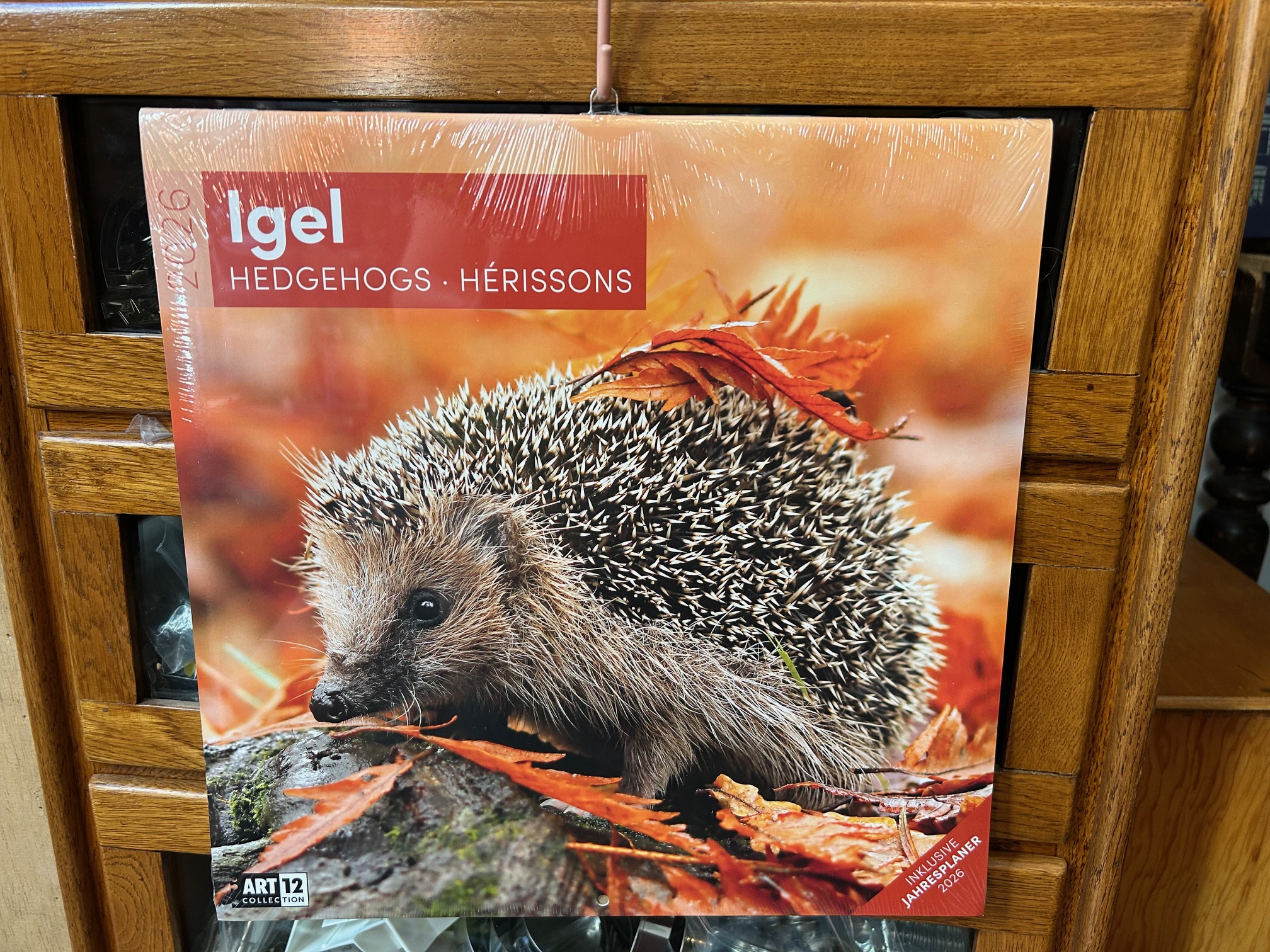 10156-kalender-ackermanns-igel-kalender-2026-vorderseite