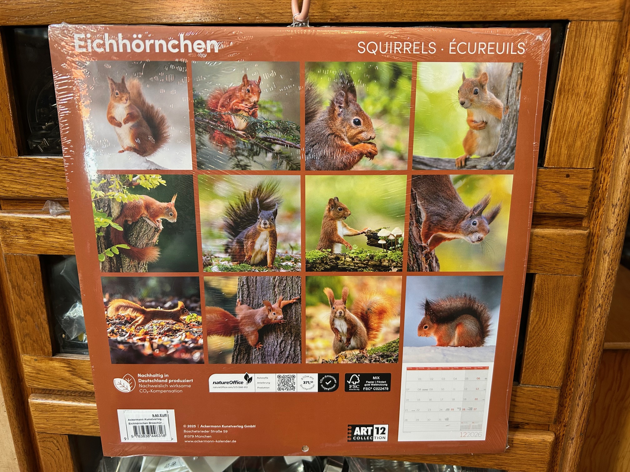 10165-kalender-ackermanns-eichhoernchen-kalender-2026-rueckseite