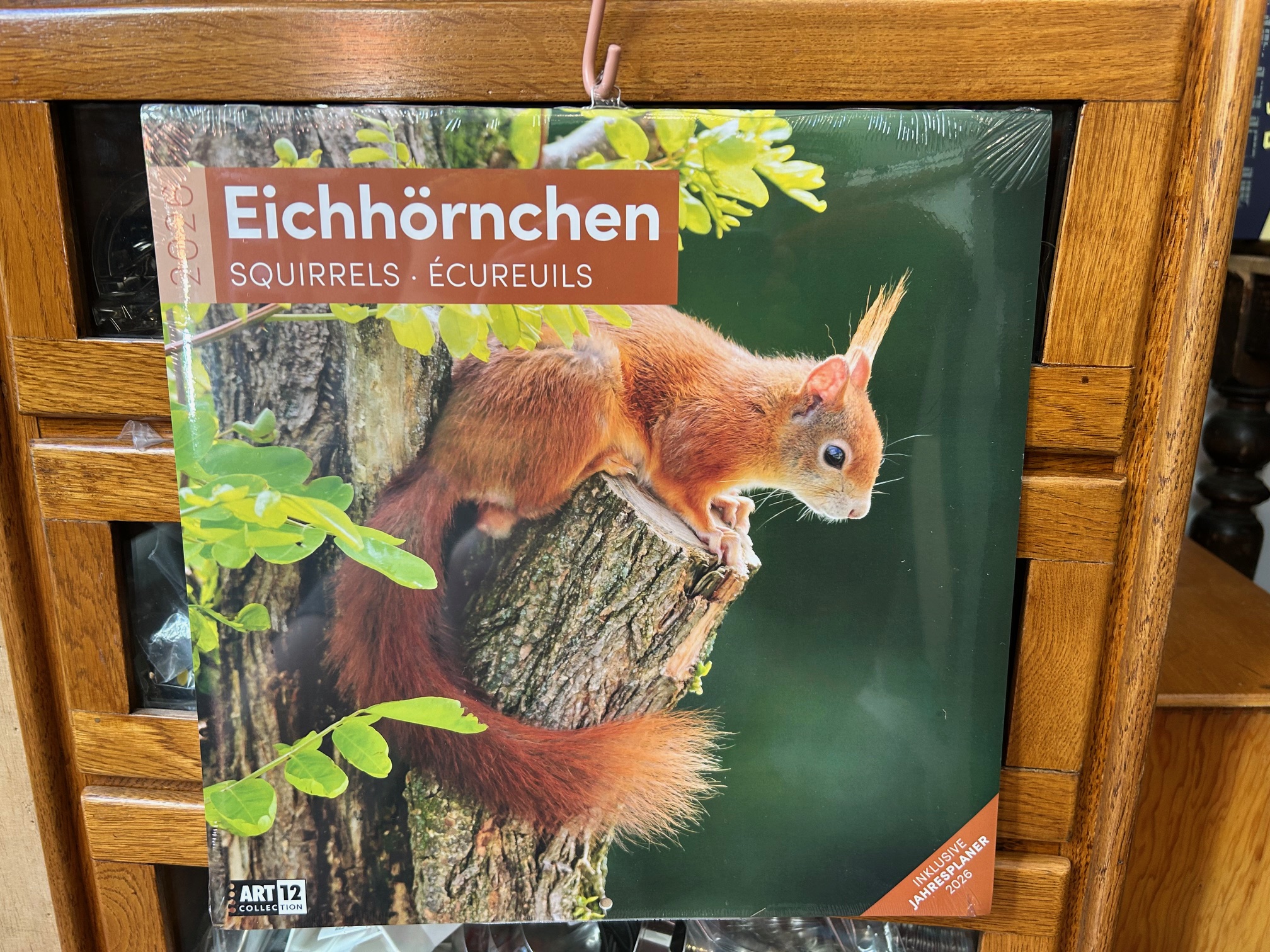10165-kalender-ackermanns-eichhoernchen-kalender-2026-vorderseite