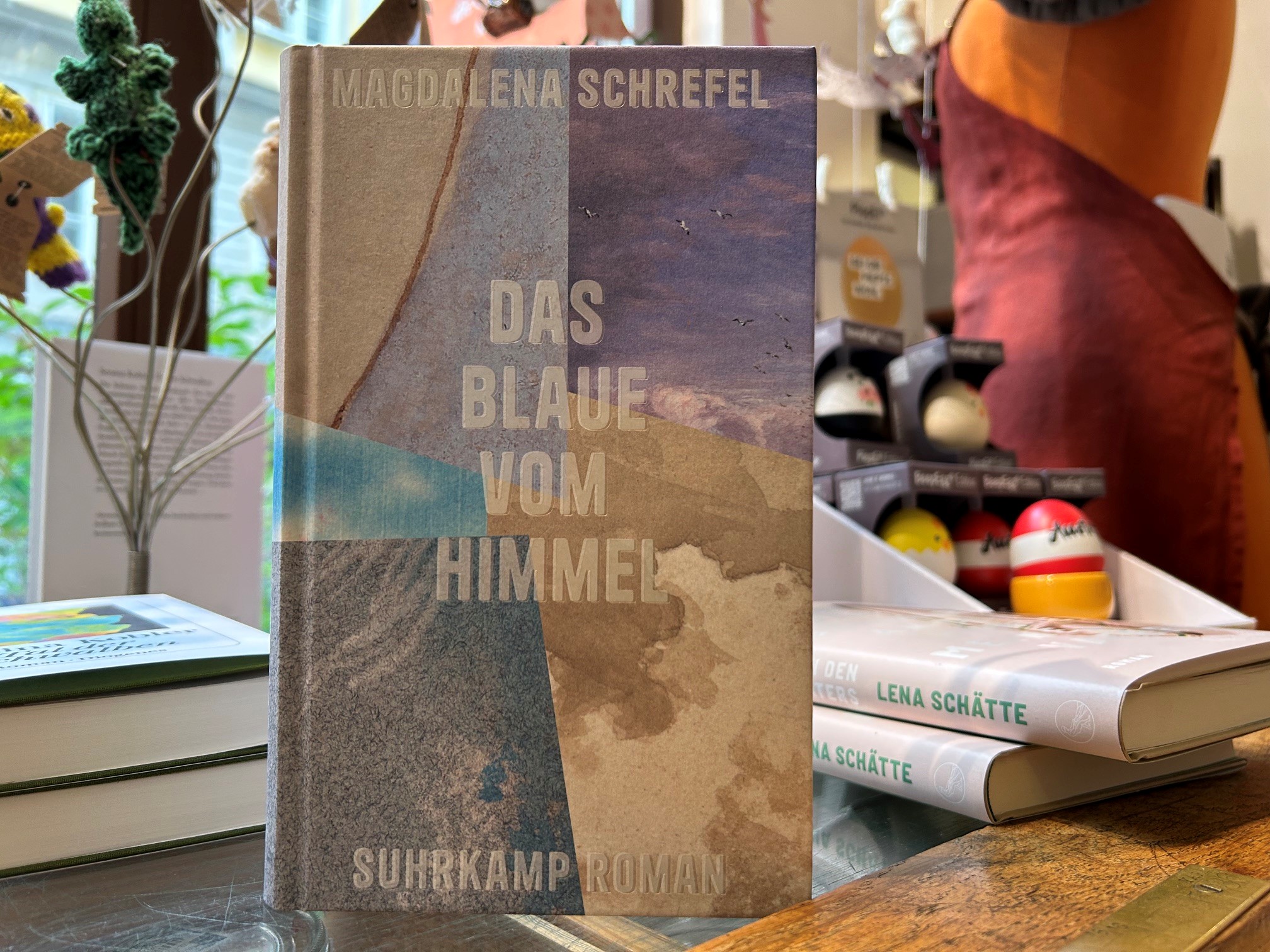 10598-buecher-das-blaue-vom-himmel-von-magdalena-schrefel