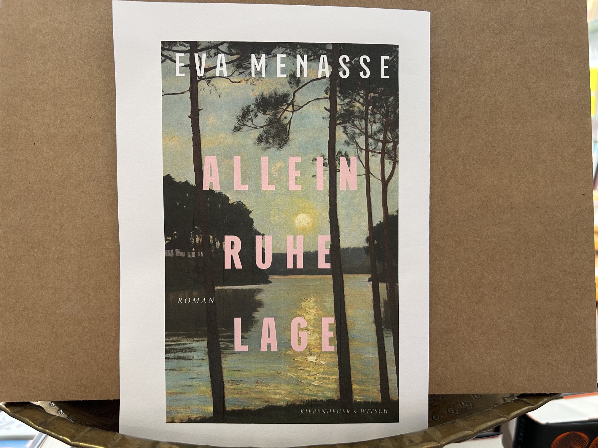 10728-buecher-alleinruhelage-von-eva-menasse
