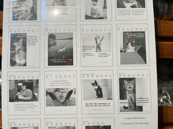 Der literarische Katzenkalender 2027