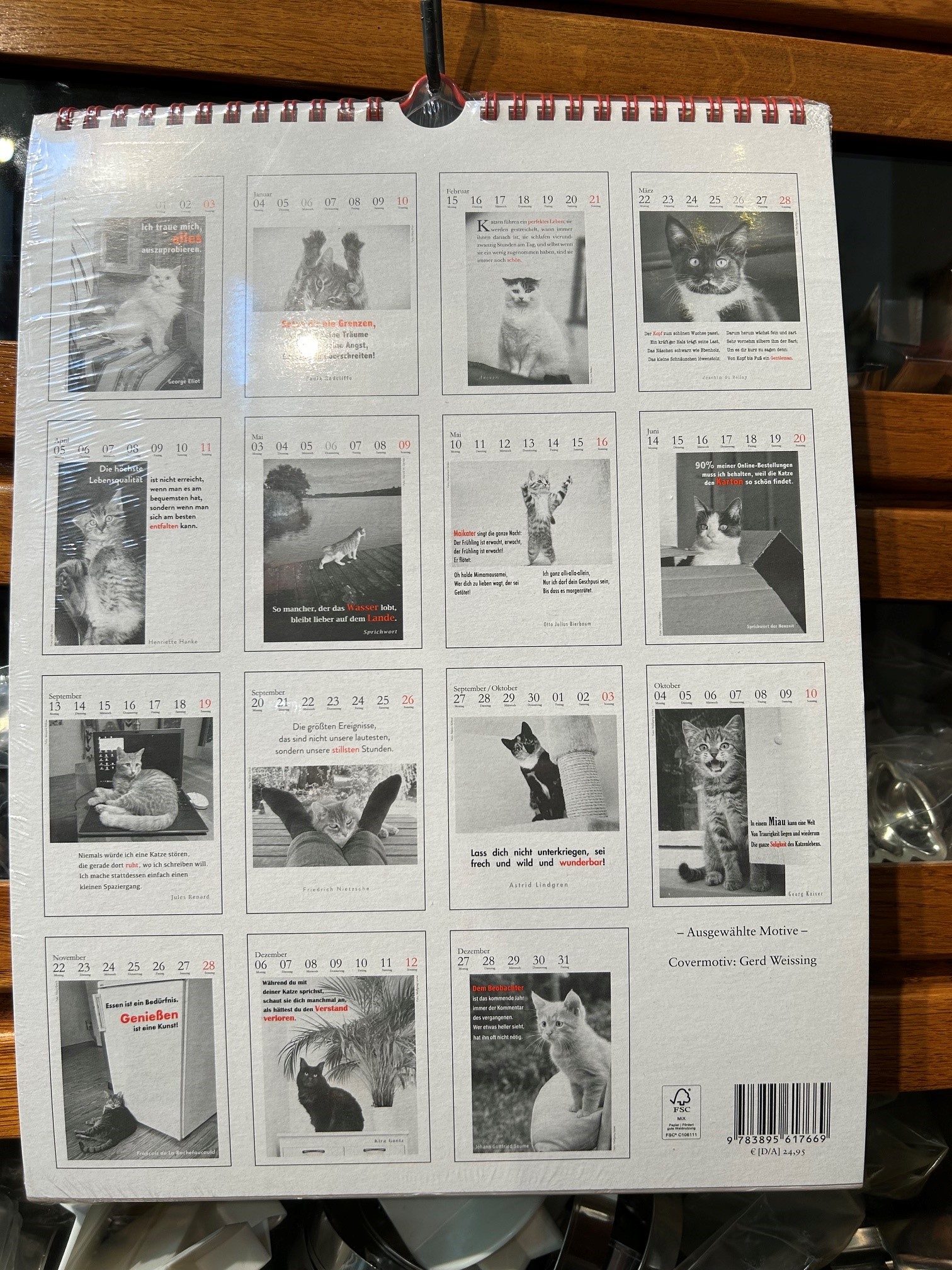 10805-kalender-der-literarische-katzenkalender-2027-rueckseite