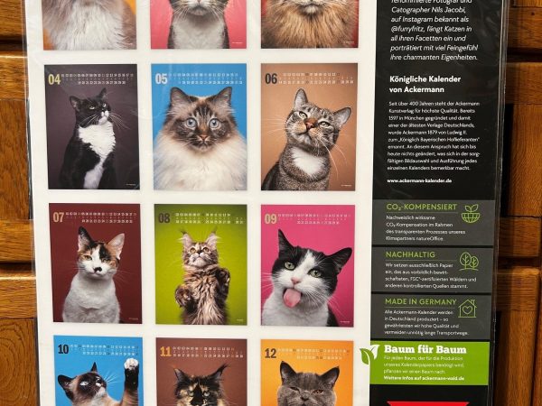 Ackermanns Catography Katzen Kalender 2027