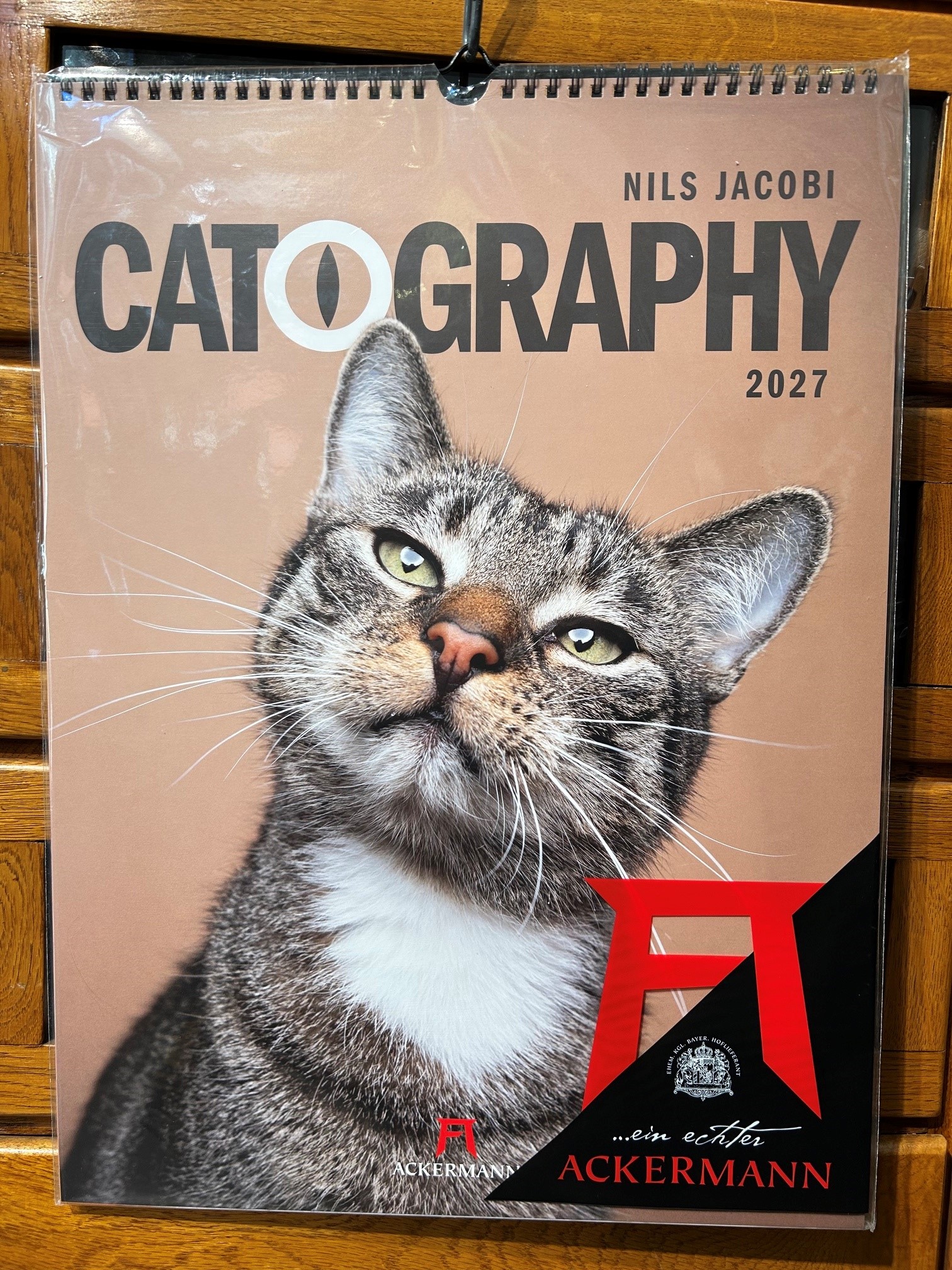 10808-kalender-ackermanns-catography-katzen-kalender-2027-vorderseite