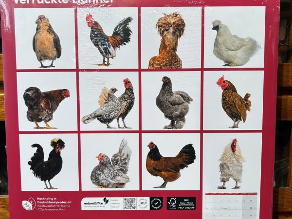 Ackermanns Verrückte Hühner Kalender 2027