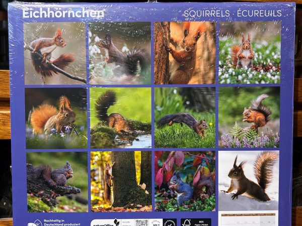 Ackermanns Eichhörnchen Kalender 2027