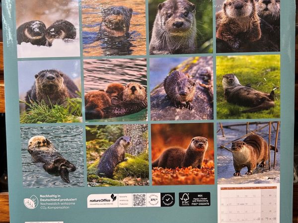 Ackermanns Otter Kalender 2027