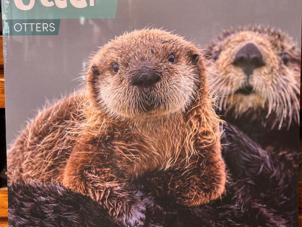 Ackermanns Otter Kalender 2027