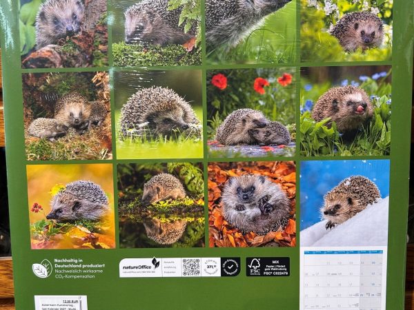 Ackermanns Igel Kalender 2027