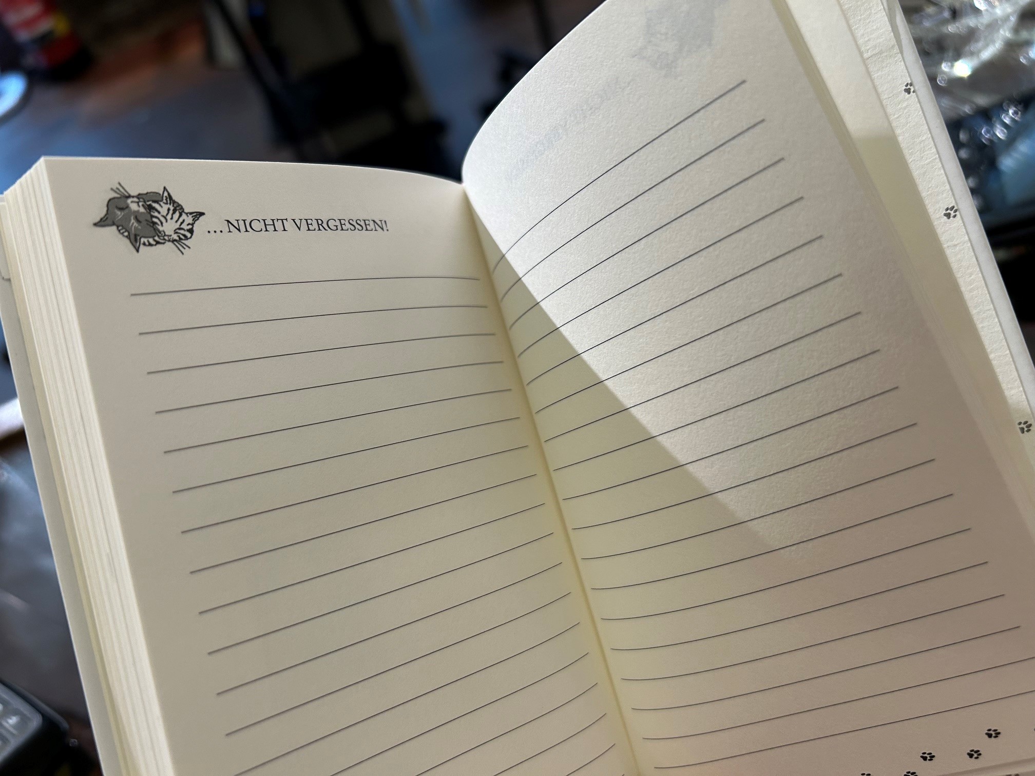 10909-kalender-katzen-taschenkalender-2027-notizseiten.jpeg