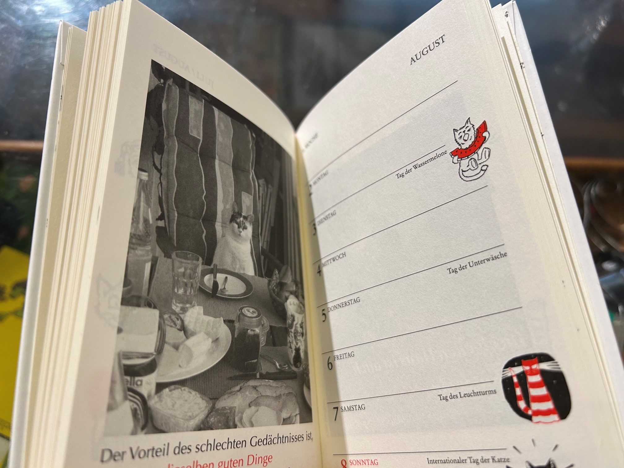 10909-kalender-katzen-taschenkalender-2027-wochenansicht.jpeg